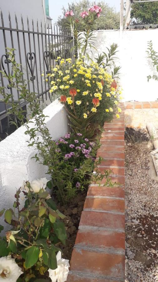 Vila Juna كساميل المظهر الخارجي الصورة